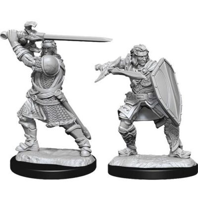 D&D Nolzur's Marvelous Miniatures - Human Paladin